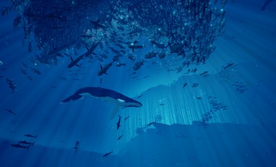 Abzû poster