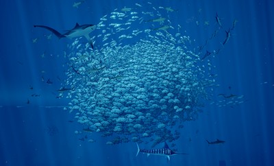 Abzû Poster #14930