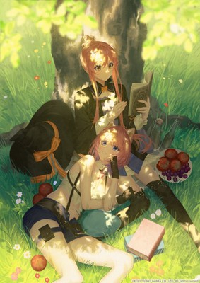 Atelier Resleriana: The Red Alchemist & The White Guardian Poster #15468