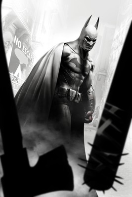 Batman: Arkham City Poster #15569