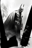 Batman: Arkham City Poster 15569