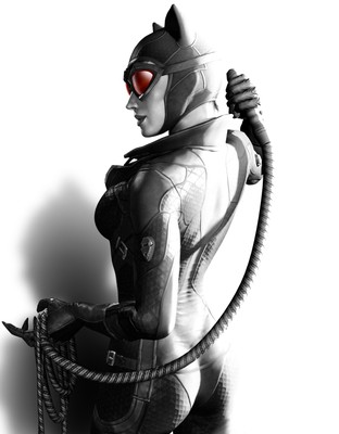 Batman: Arkham City Poster #15570