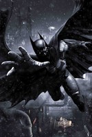 Batman: Arkham Origins Poster 15586