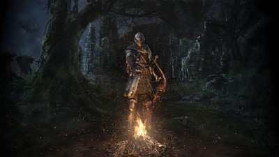 Dark Souls Poster #16281