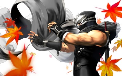 Dead or Alive: Dimensions poster