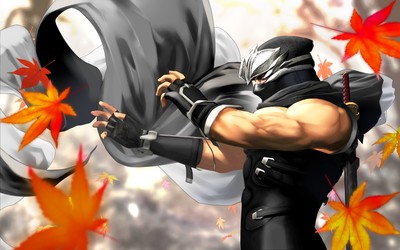 Dead or Alive: Dimensions Poster #16397