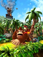 Donkey Kong Country Returns Poster 16730