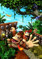 Donkey Kong Jungle Climber Poster 16733