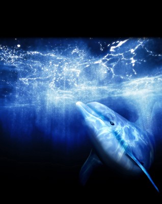 Ecco the Dolphin: Defender of the Future Poster #16963