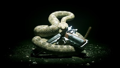 Hitman: Absolution Poster #18192