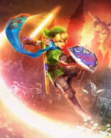 Hyrule Warriors mug #