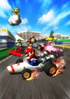Mario Kart DS Poster 19057