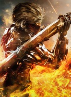 Metal Gear Rising: Revengeance Poster 19306