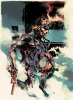 Metal Gear Solid 2: Sons of Liberty Poster 19340