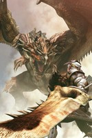 Monster Hunter Freedom Poster 19594