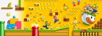 New Super Mario Bros. 2 Poster 19816
