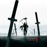 Ninja Gaiden 2 Poster 19870
