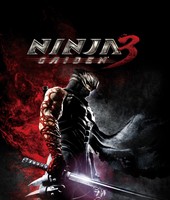 Ninja Gaiden 3 Poster 19872