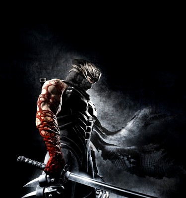 Ninja Gaiden 3 poster