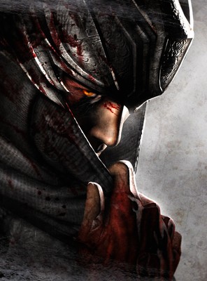 Ninja Gaiden 3 Poster #19876