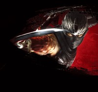 Ninja Gaiden 3 Poster 19879