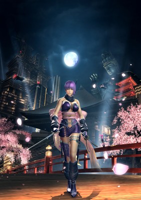 Ninja Gaiden Sigma 2 poster