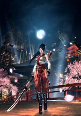 Ninja Gaiden Sigma 2 poster
