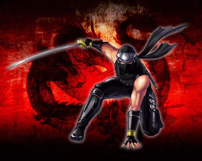 Ninja Gaiden: Dragon Sword Poster #19889