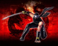 Ninja Gaiden: Dragon Sword Poster 19889