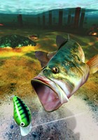 Sega Bass Fishing Poster 20935