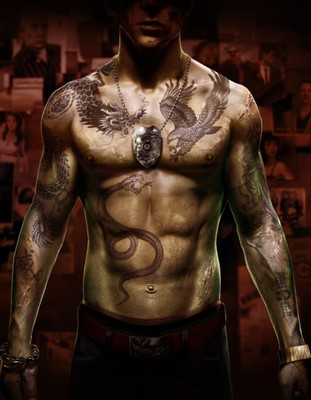 Sleeping Dogs Poster #21085