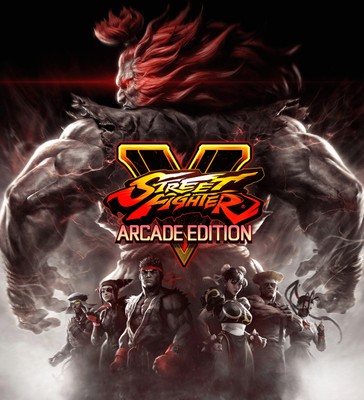 Street Fighter V poster