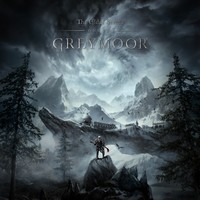 The Elder Scrolls Online Poster 22014
