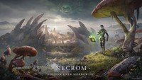 The Elder Scrolls Online Poster 22019