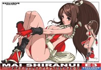 The King of Fighters: Maximum Impact Poster 22099
