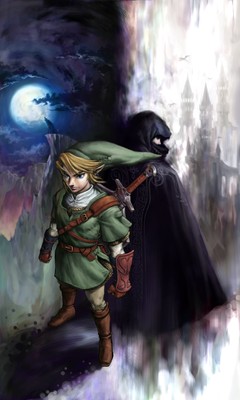 The Legend of Zelda: Twilight Princess Poster #22259