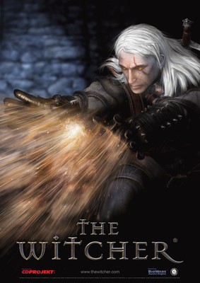 The Witcher Poster #22352