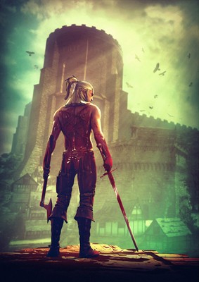 The Witcher 2: Assassins of Kings Poster #22361