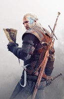 The Witcher 3: Wild Hunt Poster 22372