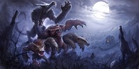 Tibia Poster 22411