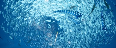 Abzu Mouse Pad 23577