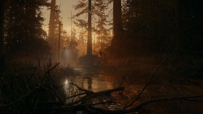 Alan Wake 2 Mouse Pad 24278