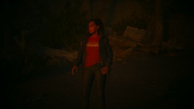 Alan Wake 2 Poster #24287