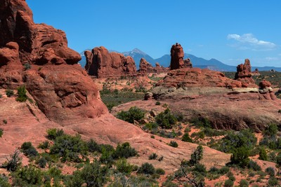 Arizona posters