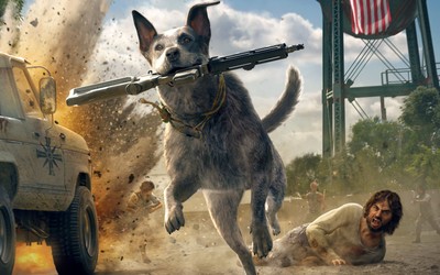 Boomer posters
