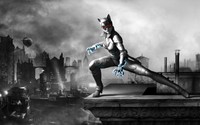 Catwoman Poster 31542