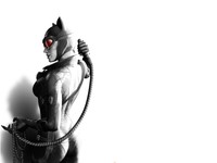 Catwoman Poster 31543