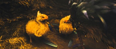 Chocobo Sweatshirt