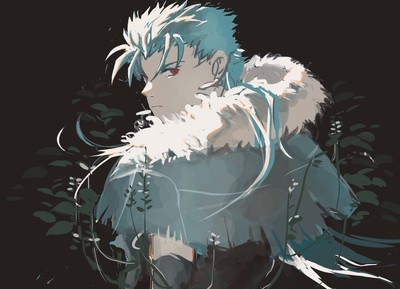 Cu Chulainn Poster #33221