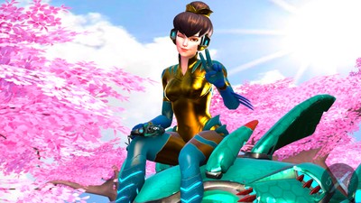 D.Va puzzle #33754